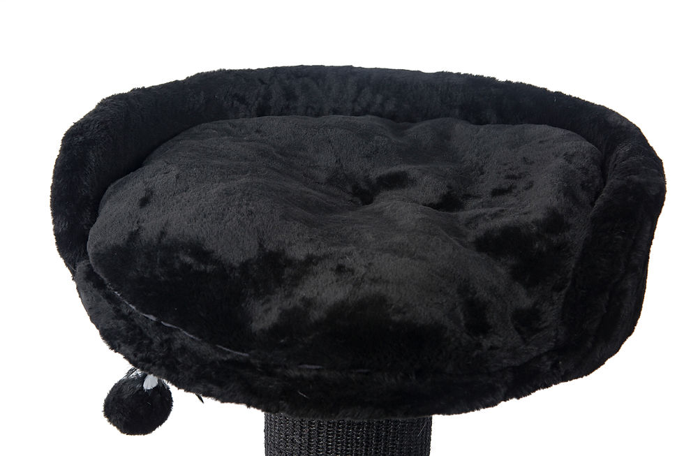 תמונה ממוזערת: מיטת שינה עליונה מרופדת במתקן חתולים