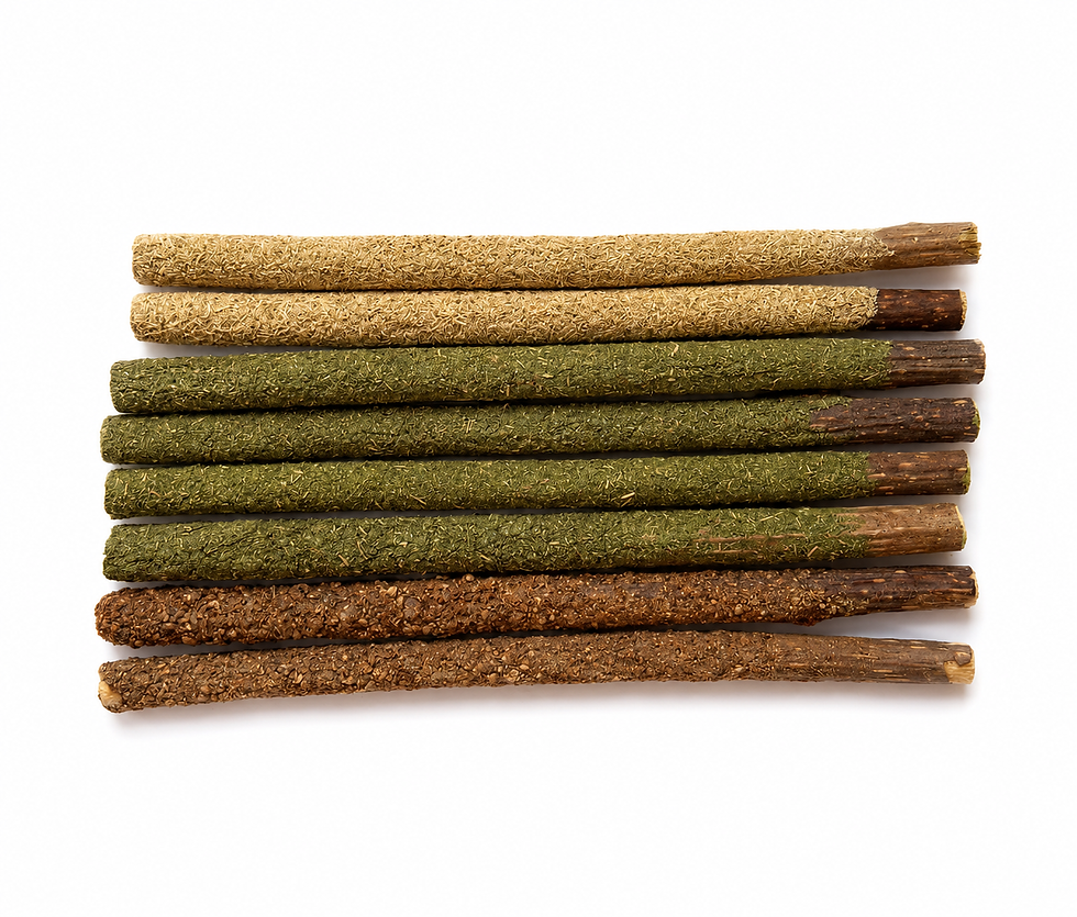Catagat Natural Triple-Blend Pocky Sticks מקלות סילברווין קטניפ ו-Gall Fruit לחתולים מארז 8 יחידות