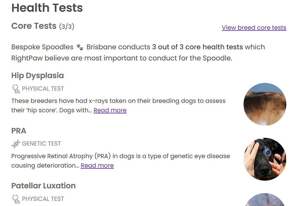 RightPaw's Spoodle health test list