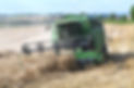 imgp2958.jpg