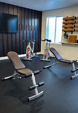 Classy black workout room with rubber flooring and walnut paneling