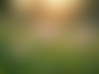 Tips for Supporting a Sibling After Loss