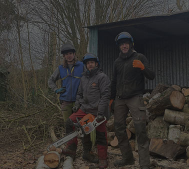 1b4e7380-5d7a-4317-9c52-733539c046f8_edi