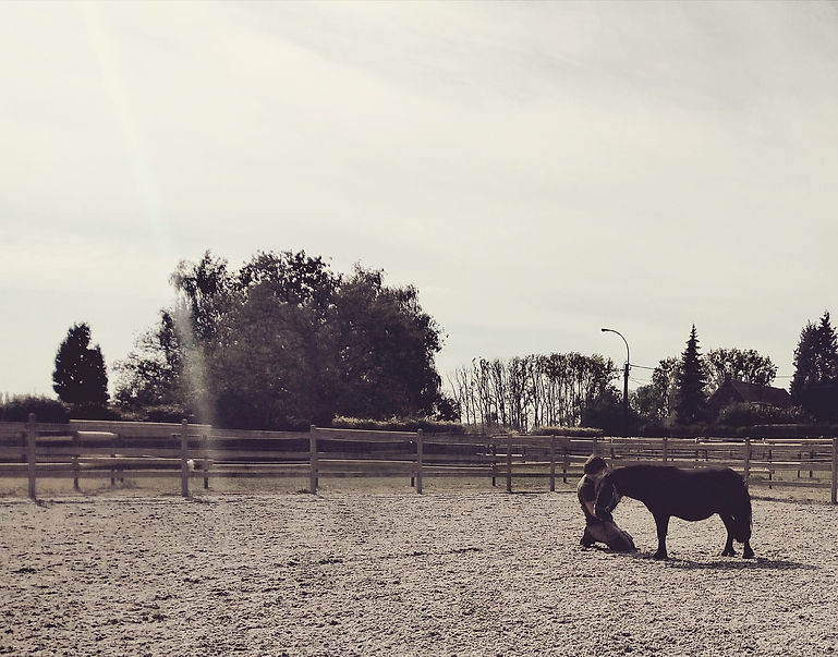 Man knielt neer bij pony EmWa Coaching Yoda