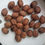 Thumbnail: Juglans regia - 5ft Tulare