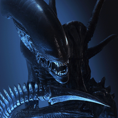 7d96412cc2287fe69fd6308a9399e3fb.gif