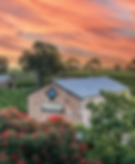 11111-gigapixel-standard-scale-6_00x.png