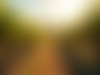 Returning Guests, Great Wine, and Another Perfect Day in Coonawarra