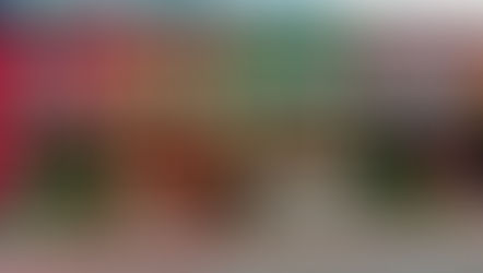 SINGAPORE'S SIX STYLES OF HERITAGE SHOPHOUSES