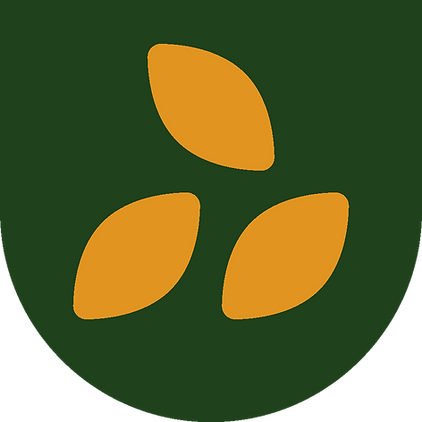 Nurish-bowl-with-three-green.png