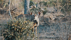 PB050208-1