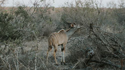 PB060662-1