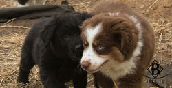 481448126_3586257868338546_8876709116396119824_n-2