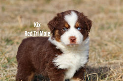 484928150_1043777391112683_894778339601717950_n