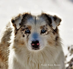 314093851_673706437457698_3576989893286254311_n