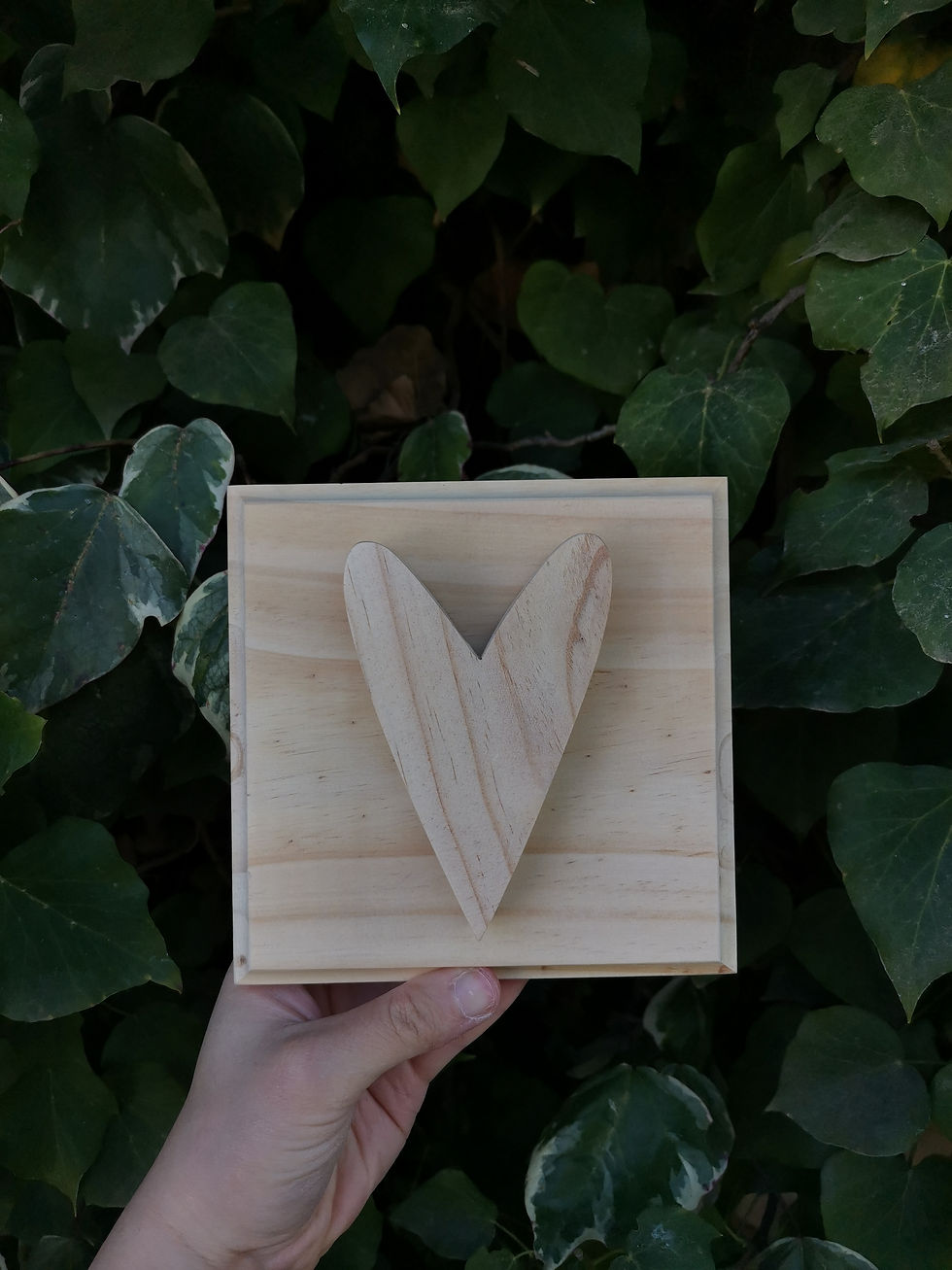 Miniatura: Cuadro basic 15x15