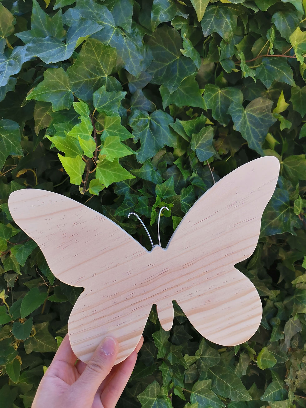Miniatura: Mariposa