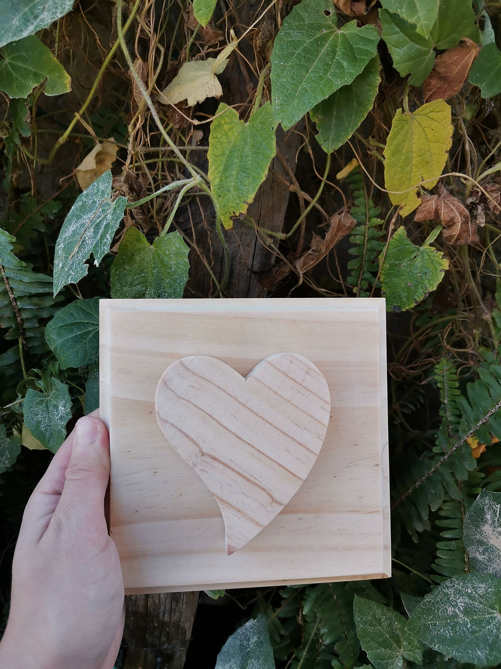Miniatura: Cuadro basic 15x15