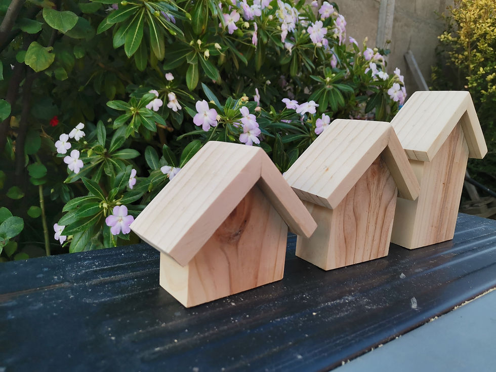 Miniatura: Pack casas nórdicas Santa Marta