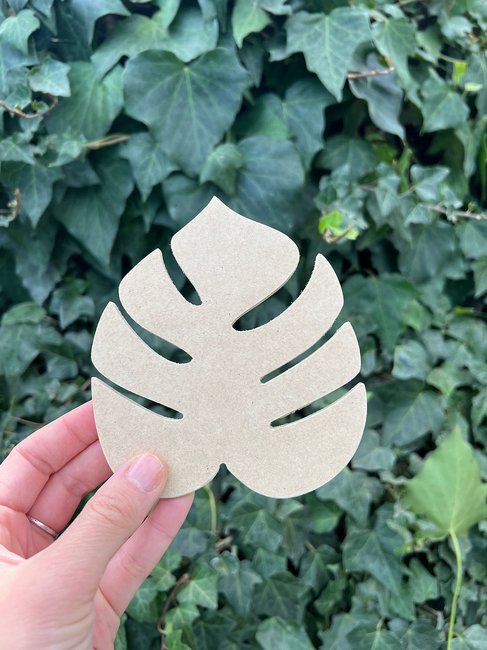 Miniatura: Pack 6 posavasos con cajita mdf 