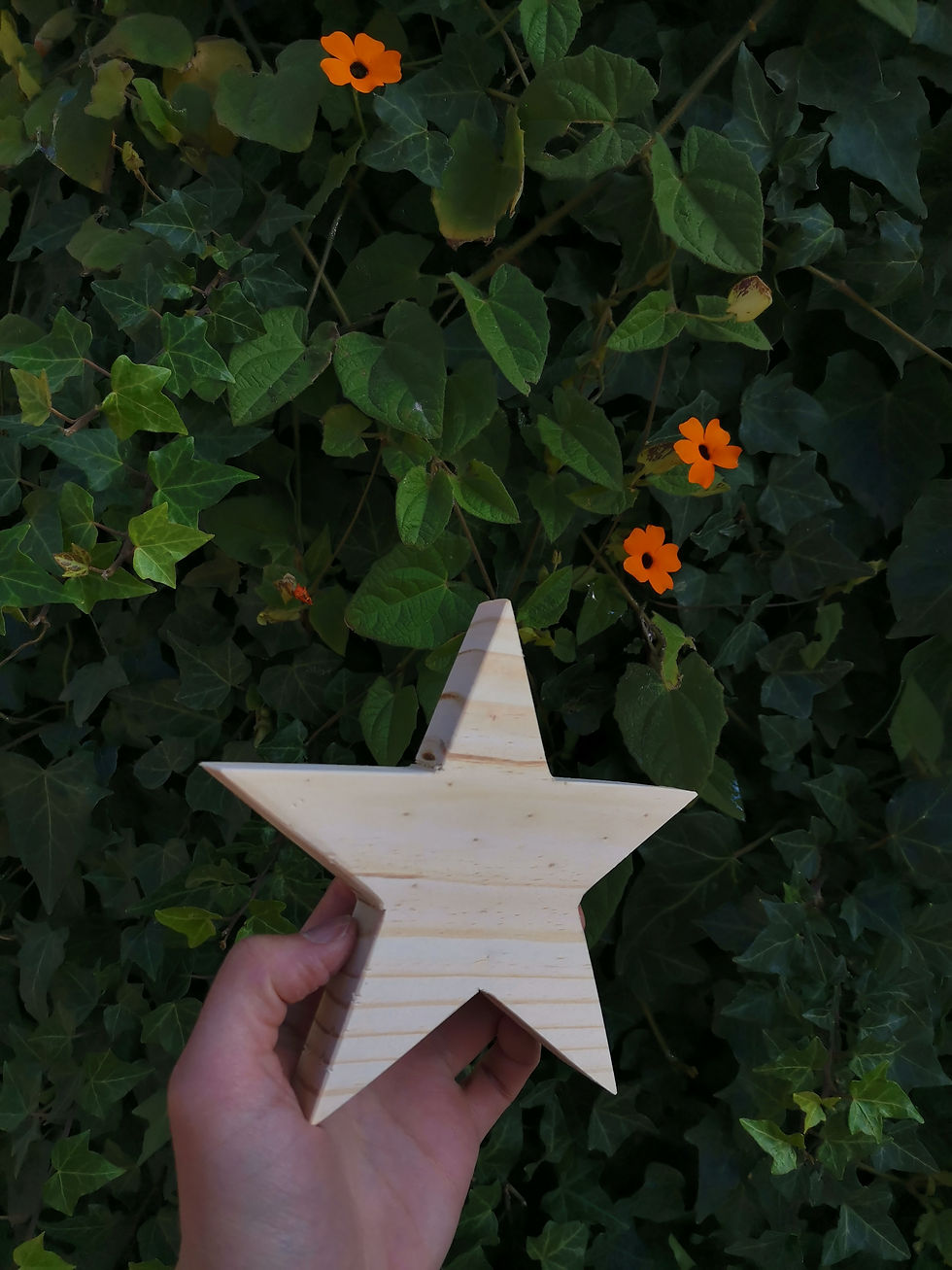 Miniatura: Estrella 14 cm