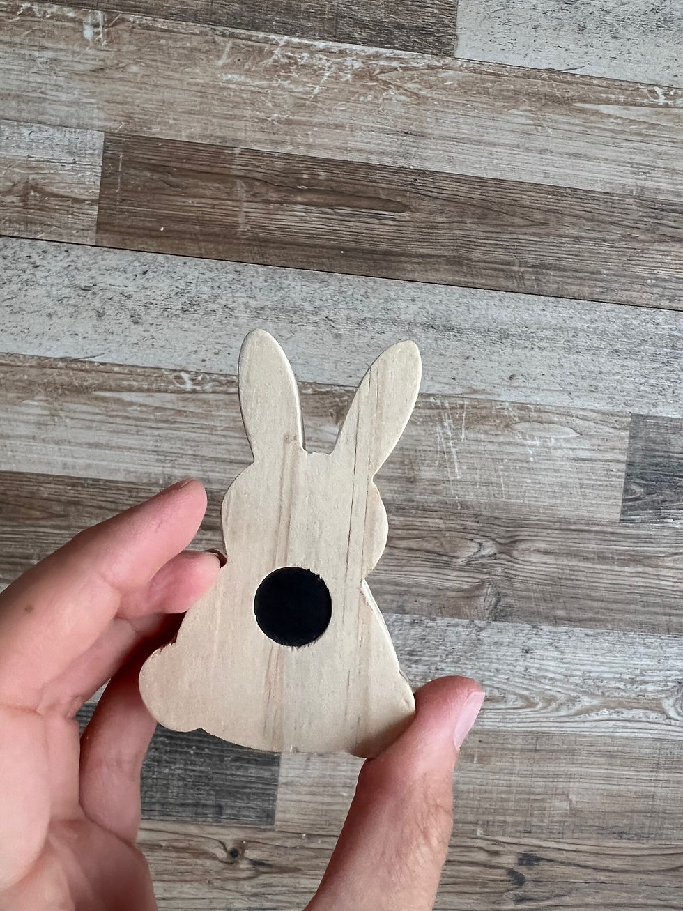 Miniatura: Conejo iman B
