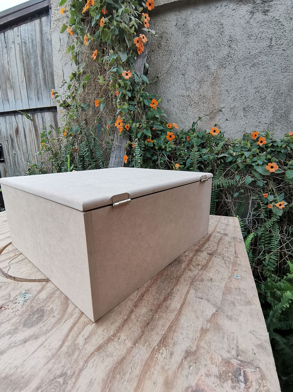 Miniatura: Caja grande con broche MDF