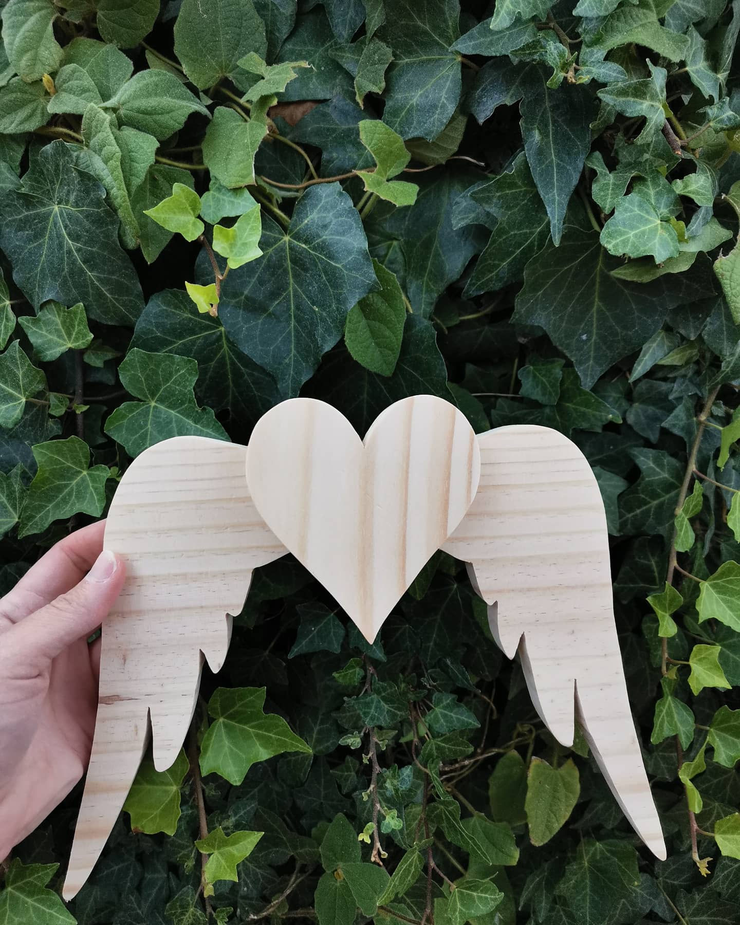 Pack corazón alado Elena 