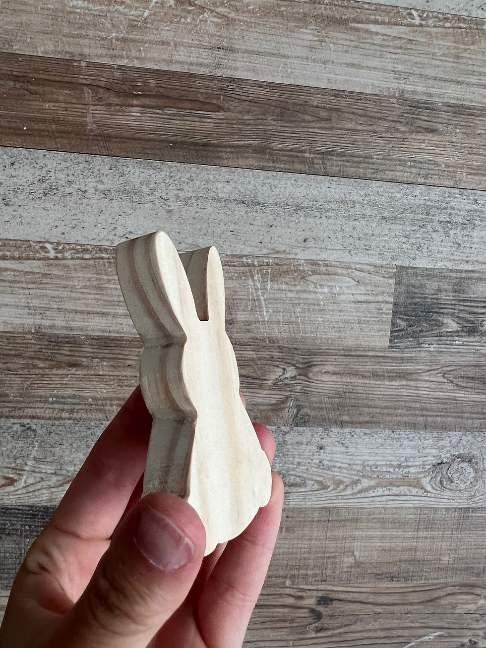 Miniatura: Conejo iman B
