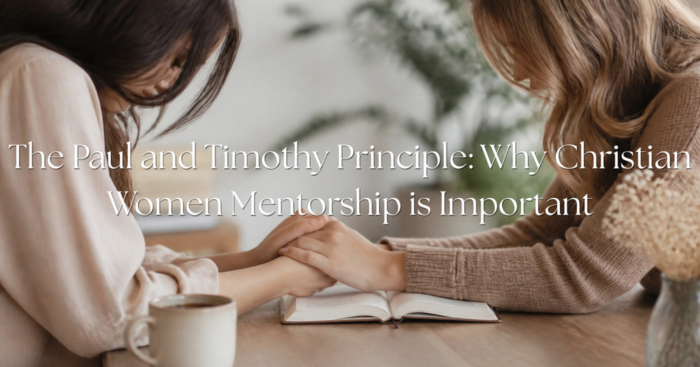 The Paul and Timothy Principle cover