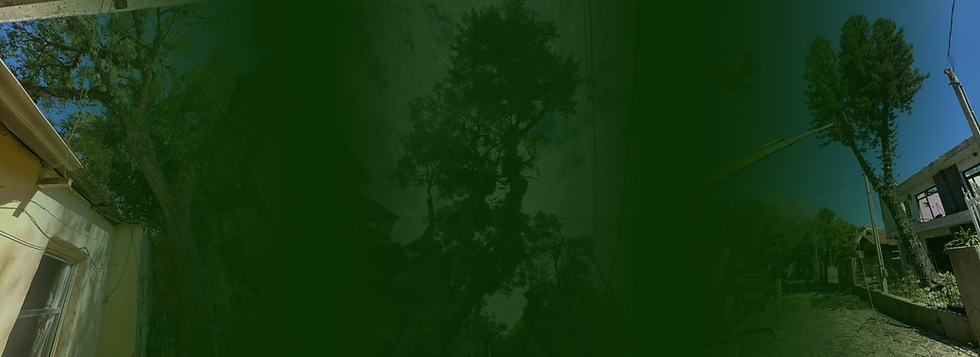 Design sem nome (6).png