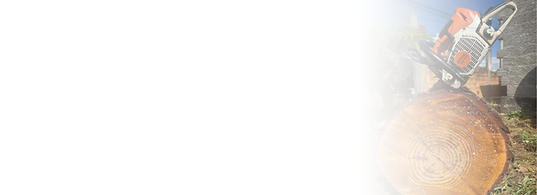 Design sem nome (8).png