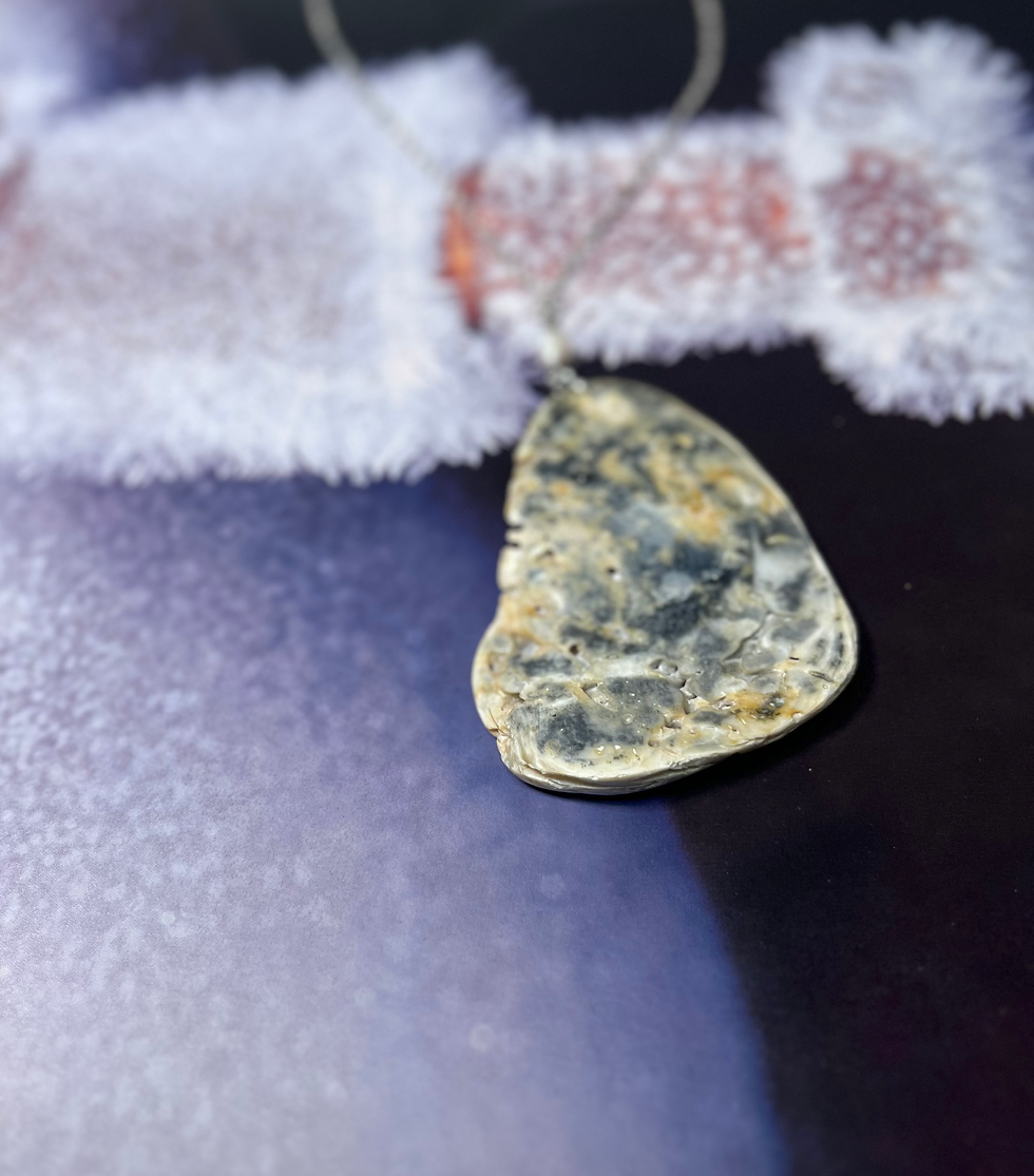 Thumbnail: Collab with the Sea: Polished Fossil Shell Necklace