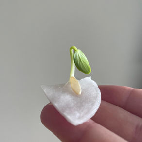 Life always finds a way