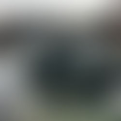 [Zug Art Project] Geese with no name