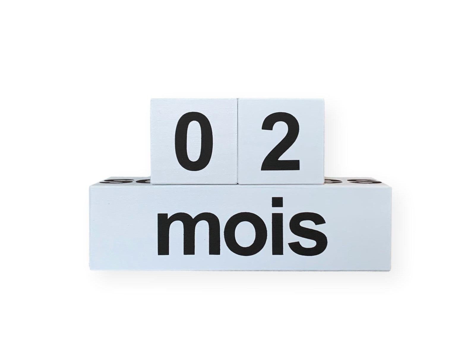 Snow Fall // Arial Font // French