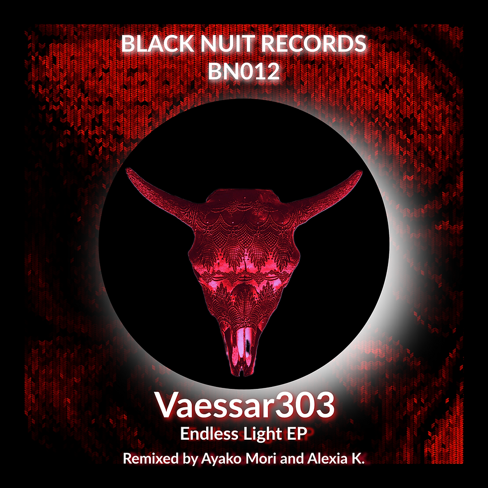 BN012_Vaessar303_EndlessLightEP_ALL.