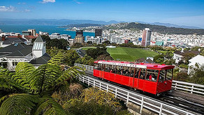 Creating Jewish Infrastructure in Wellington, New Zealand!