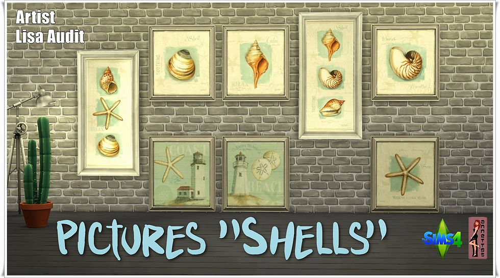 Pictures "Shells"