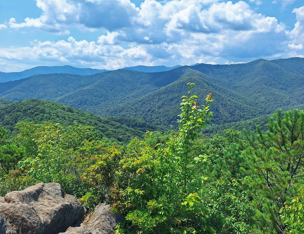 Lookout Trail Meet at 9am 