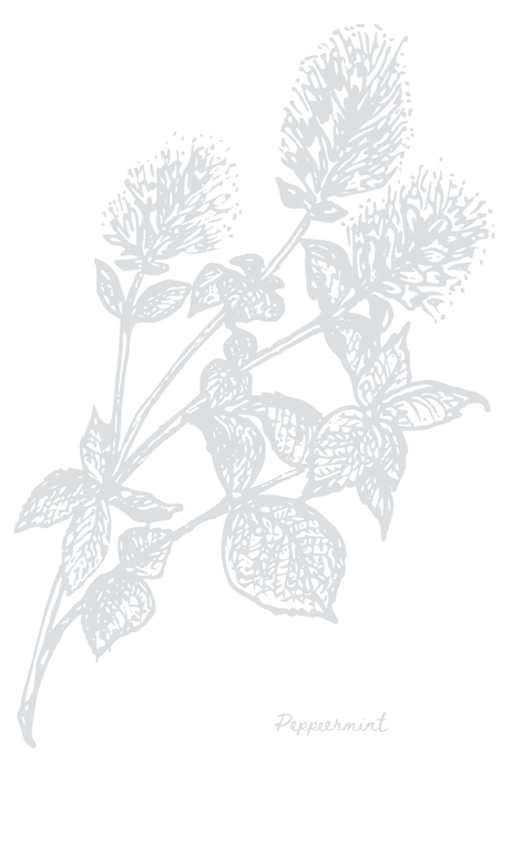 Main Banner Plant Images_Physical (2).png