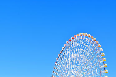 23517005_l_edited.jpg