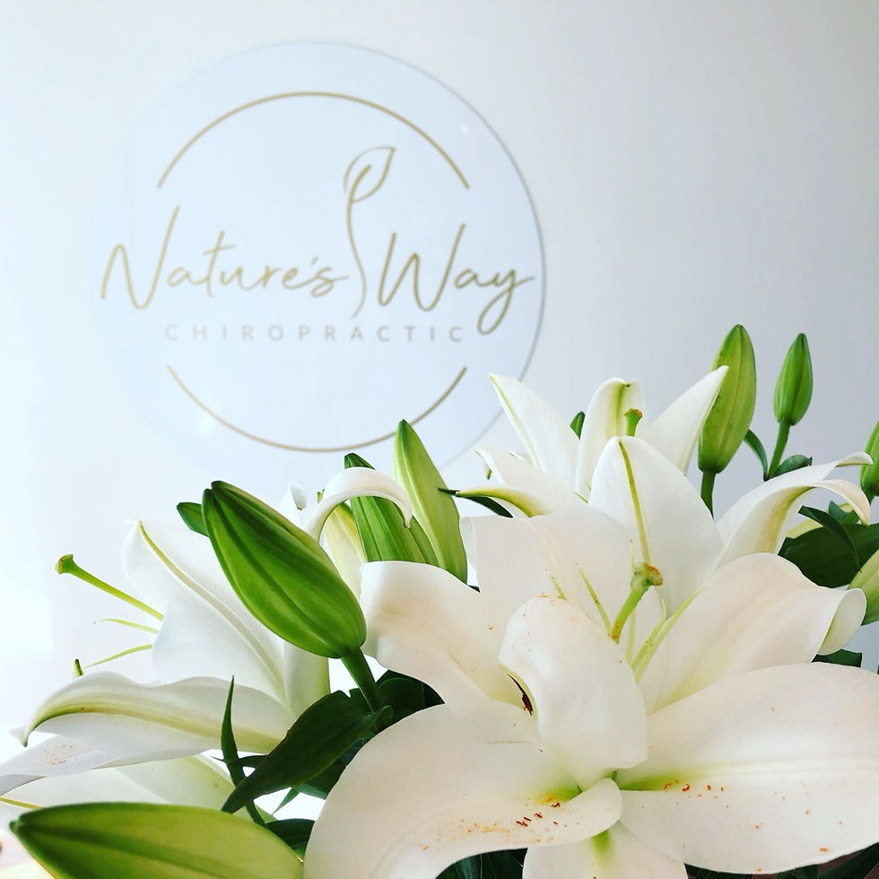 Logo for Nature's Way Chiropractic, designed by Dr. Kayli, holistic Chiropractor