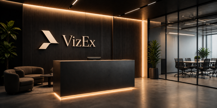 VizEX.png