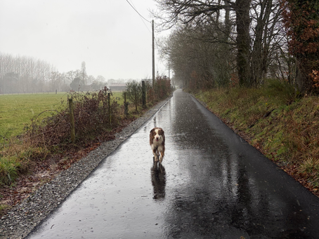 🌧️ Même pas mouillés ! Comment se passent les balades quand il tombe des cordes ?