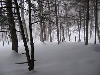 IMG_2382.JPG