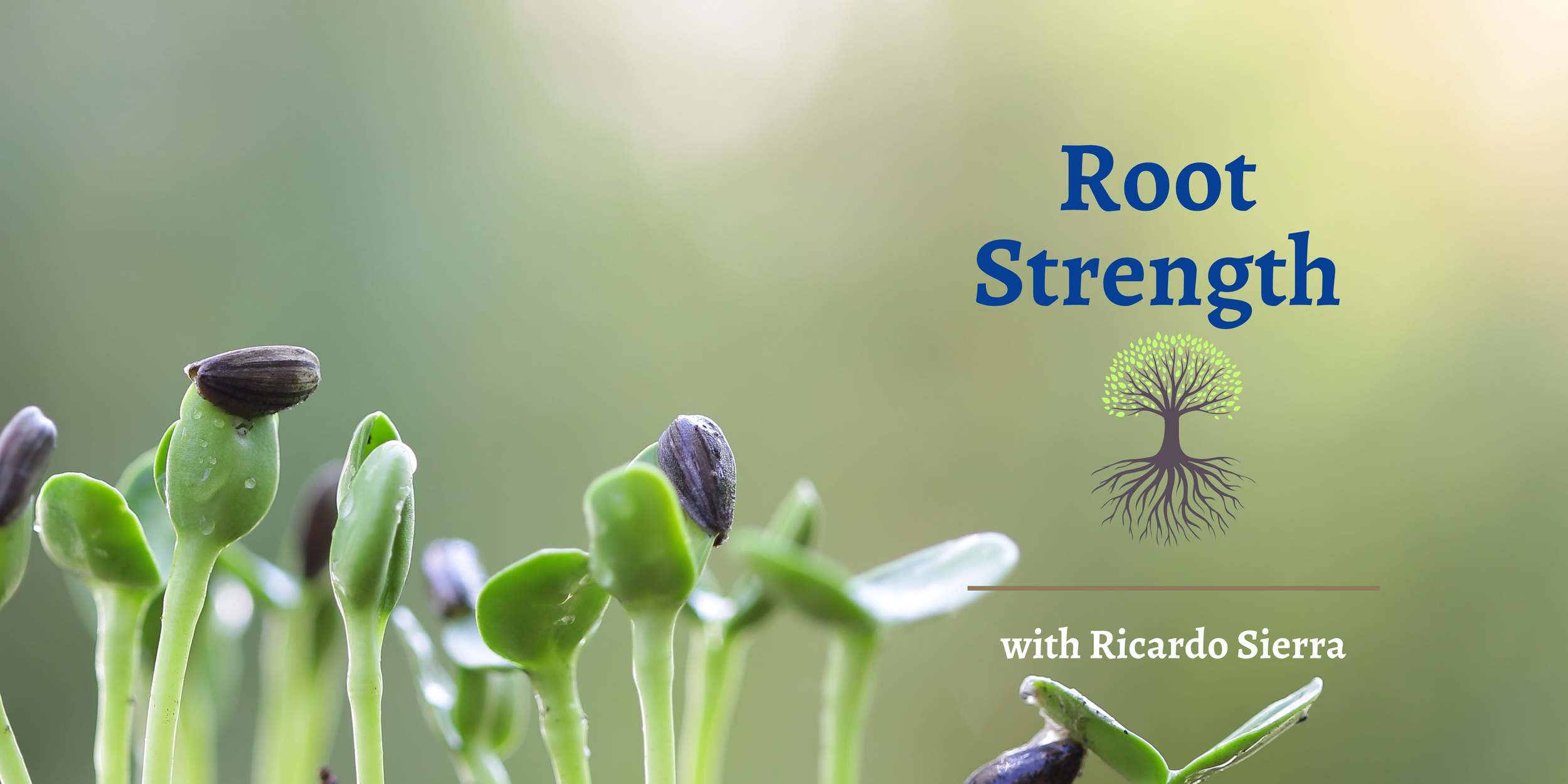 Root Strength Image Root Strength Online Tra... | Forest Educator