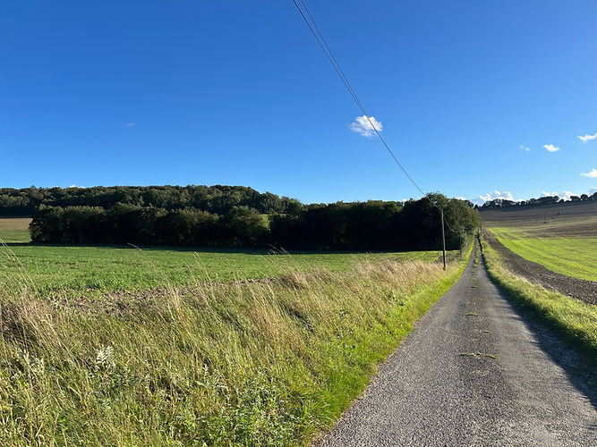 chemin.jpeg