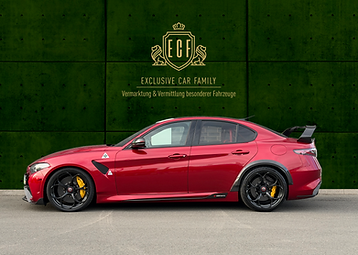 Alfa Romeo Giulia GTAm kaufen