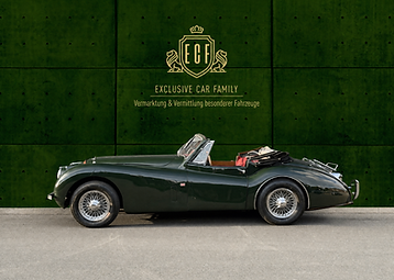 Buy Jaguar XK 120 Drophead Coupé in British Racing Green